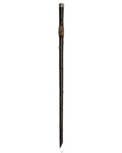 Vintage Walking Stick by Anonymous - Decorative Object