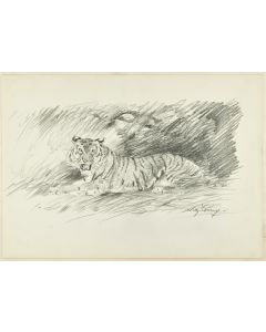 Roaring Tiger by Wilhelm Lorenz - Modern Artwork