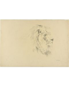 Lion by Wilhelm Lorenz - Modern artwork