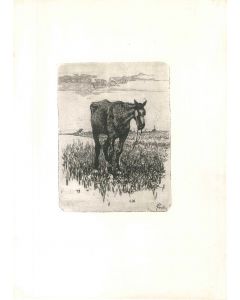 The Old Horse by Giovanni Fattori - Old Master's Artwork