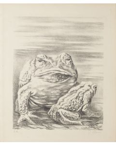 The Frogs is an enchanting lithograph realized by Fabrizio Clerici (1913-1993).