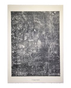 Nappe Diapree is an original lithograph on watermarked paper "Arc". Abstract composition by the French artist Jean Dubuffet. From the album of "Sols Terries" (1953-1959). In excellent conditions.