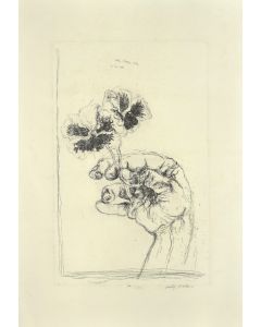 Le Due Viole is a wonderful etching realized by the italian artist Walter Piacesi in 1974.