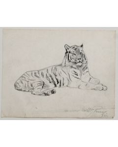  Tiger by Wilhelm Lorenz- Modern Artworrk