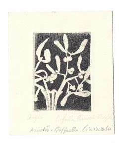 Arnoldo Ciarrocchi - Il Vischio - Contemporary Artwork