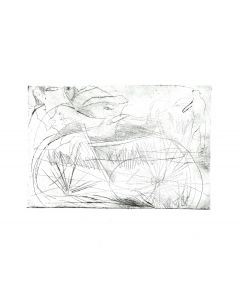 Bicycle is an original etching on cardboard realized by Danilo Bergamo in the second half of the XX century, in 1980s.