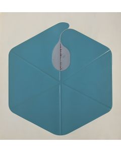 Hexagon by Shu Takahashi - Contemporary Artwork