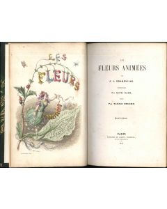 J.J. Grandville, Les Fleurs Animées, Gabriel de Gonet, Parigi, 1847