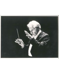 Famous Conductor Bernstein by Anonymous - Photograph