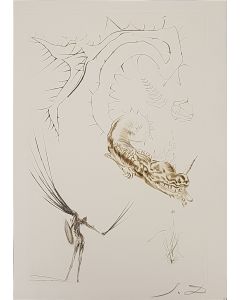 Tristan et le dragon, from "Tristan et Iseult", by Salvador Dalì, original print