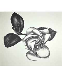 Giacomo Porzano - Black Rose -  Contemporary Art