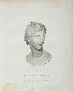 Portrait of Venus De Medicis