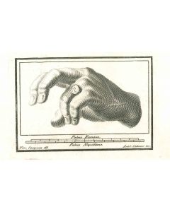 Ancient Hand of Hercolaneum - Vincenzo Campana - Old Masters