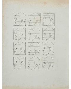 The Profiles - The Physiognomy