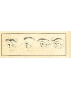 Eyes - The Physiognomy 