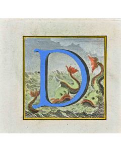 Letter of the Alphabet D