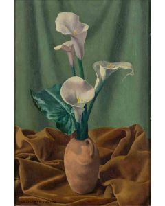Ugo Celada - Still Life with Calla Lily - Old Masters 