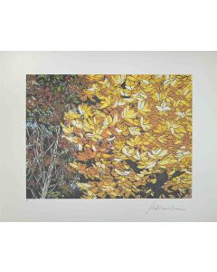 Rolandi - Landscapes of Autumn - Contemporary Artwork 