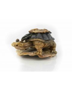 Turtle Paperweight - Decorative Object 