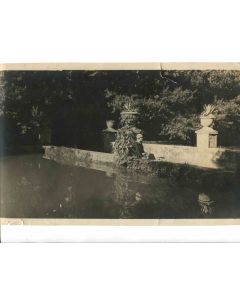 Anonymous - In the Garden - Historical Photograph 
