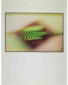 Harold Miller Null - Exhibition Print from "Vibrazioni" - Contemporary Artwork 