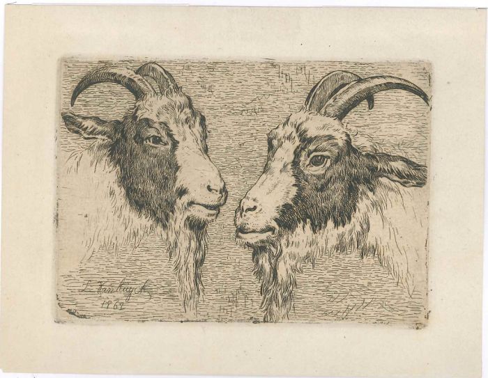 Goats by Louis van Kuyck - Modern Artwork
