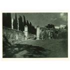 View Of Rome - Vintage Photograph   