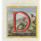 Letter of the Alphabet  D