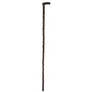Garibaldi's Walking Stick