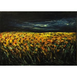  Sunflower Field