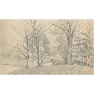 Trees On The Hill by Emile-Louis Minet - Modern Artwork