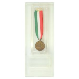 Commemorative Garibaldi Medal by Anonymous - Decorative Design