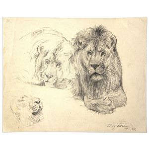 Study of lion and lioness by Wilhelm Lorenz