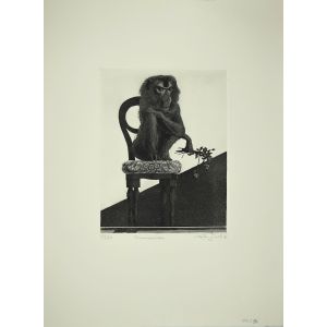 Monkey on the Chair