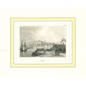 Ancient View of Triest