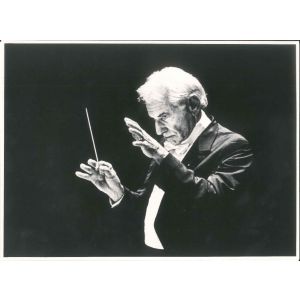 Famous Conductor Bernstein 