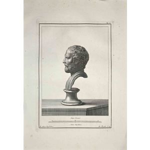 Profile of Ancient Roman Bust