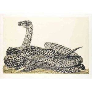 Python (from the Bestiary)