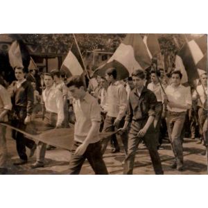 Parade in Algeria, Historical Photograph