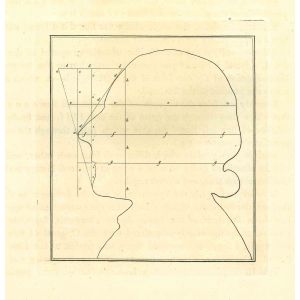 The Physiognomy - The Profile