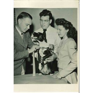 The American  Human Society's Work With Animals - Vintage Photograph