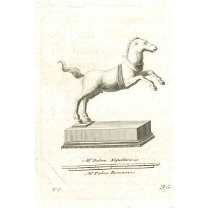 Ancient Roman Horse