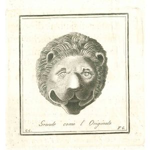 Ancient Lion Head