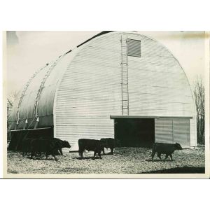 The Barn- American Vintage Photograph