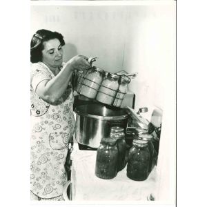 Middle-class American Woman- American Vintage Photograph