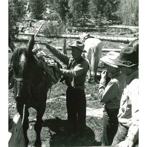 Horse Packing - American Vintage Photograph