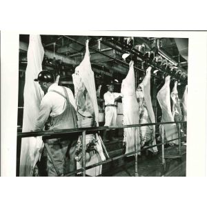 Packing Industry - American Vintage Photograph