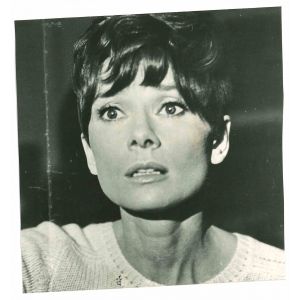 Portrait of Audrey Hepburn - Vintage Photograph