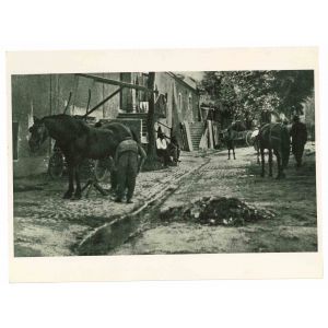 Country Life Of  Rome - Vintage Photograph
