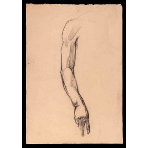 Study For An Arm